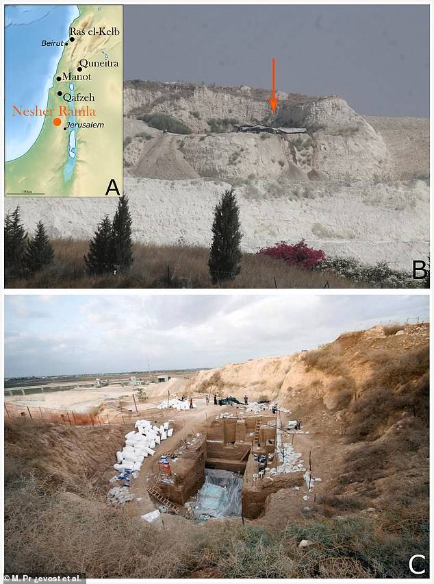 이들 뼈 조각은 네샤르(Nesher) 시멘트 공장 건설 부지에서 단단한 암반 침전물이 발견돼 고고학자들에 의한 발굴 조사가 이뤄지면서 발견될 수 있었다.(사진=요지 자이드너 박사)