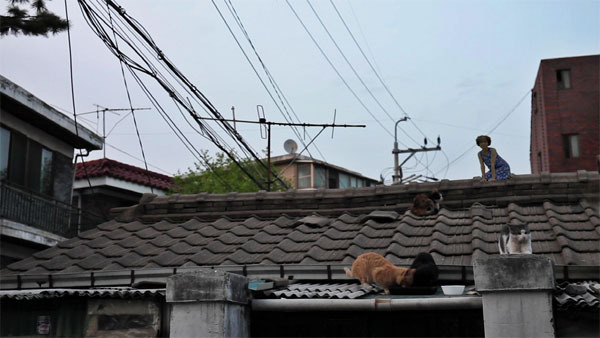 홍이현숙 영상 작품 `석광사 근방`. [사진 제공 = 아르코미술관]