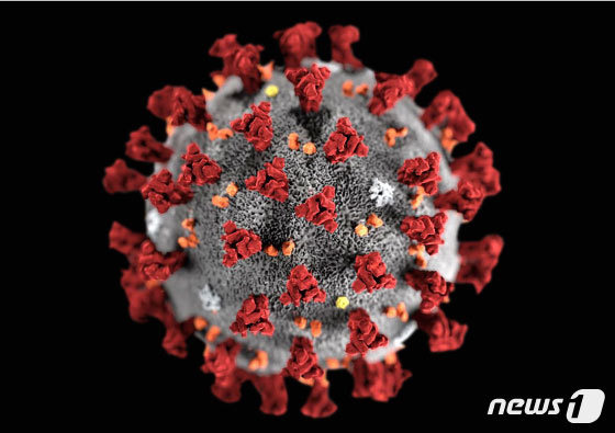 미국 질병통제예방센터(CDC)가 제작한 신종 코로나바이러스 모형도. © 로이터=뉴스1