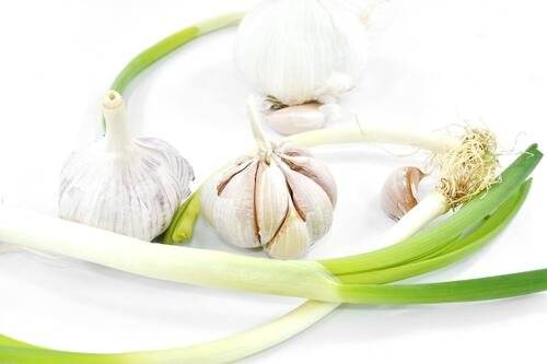 불교의 금기식품 오신채는 향이 강하고 자극적인 맛이 특징인데, 이는 정신을 자극시켜 수행에 방해가 될 수 있다는 등의 이유로 섭취가 금지되고 있다. [사진 pixnio]