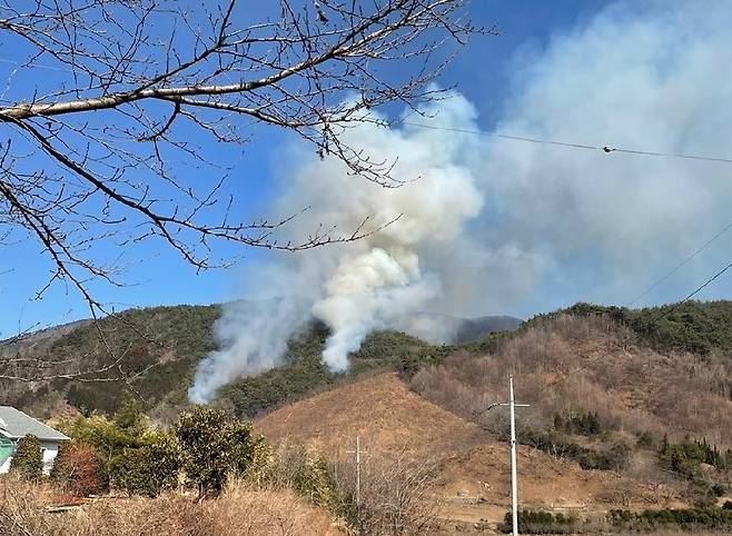 순천 승주읍 야산 화재 [순천시 제공]