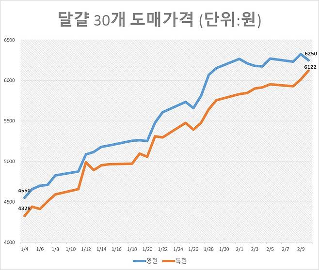 달걀 30개 도매가격 [축산물품질평가원 축산유통정보 제공]