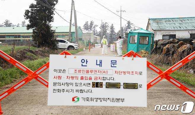 설 연휴 마지막 날인 14일 오후 제주시 한림읍 금악리의 한 오리농장에 가축위생방역지원본부의 출입 금지 안내판이 세워져 있다. 이 농장에서는 설 당일이었던 지난 12일 일부 종오리들이 갑자기 산란율 저하 증상을 보였고, 농림축산검역본부 정밀 검사 결과 결국 H5N8형 고병원성 AI 바이러스가 검출됐다.2021.2.14/뉴스1 © News1 오미란 기자