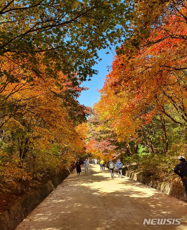 문경새재도립공원 가을 풍경