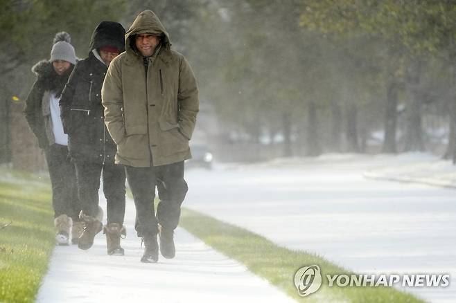 텍사스주 휴스턴 시내 푸른 잔디 위에 몰아치는 눈 폭풍 [AP=연합뉴스]