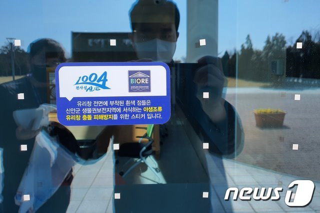 신안군 청사에 부착된 야생동물 충돌방지 스티커(신안군 제공)/뉴스1 © News1