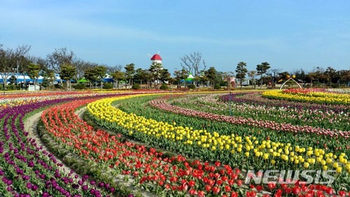 [신안=뉴시스] 신안군 임자도 튤립공원. (사진=신안군 제공) photo@newsis.com