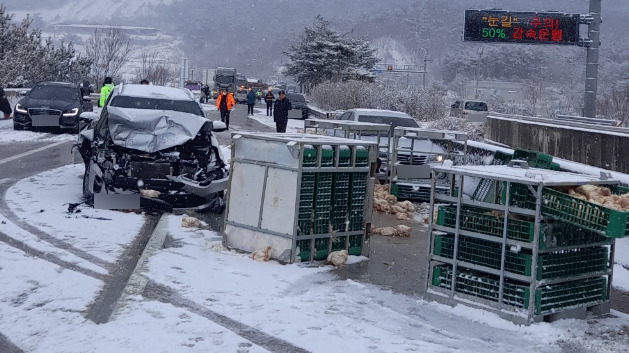 [구례=뉴시스] 김혜인 기자 = 17일 오전 10시께 전남 구례군 산동면 둔사리 순천완주 고속도로 (순천~완주)방면 천마터널을 지난 약 300m 지점에서 10t 화물 차량이 눈길에 미끄러져 도로시설물을 들이 받았다. 적재된 닭장 우리가 넘어져 닭 약 500마리가 도로에 쏟아져 소방당국이 안전 조치를 하고 있다. (사진=순천소방서 제공) 2021.02.17. photo@newsis.com