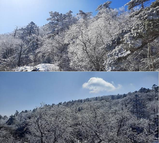 지리산 상고대. 지리산국립공원 전북사무소 제공