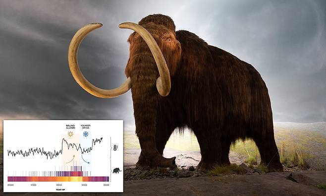 1만 년 전 북미 대륙 털매머드는 기후 변화 탓에 멸종