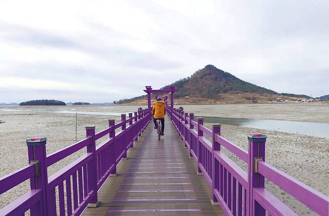 지난 5일 전남 신안군 박지도(안좌면 박지리)에서 반월도(안좌면 반월리)를 잇는 자주색 다리 ‘퍼플교’. 김선식 기자