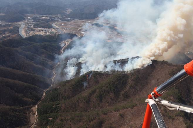 국립산림과학원 제공