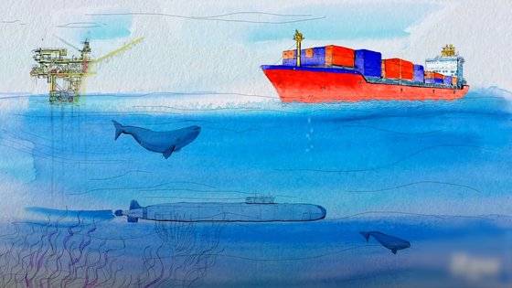 고래의 음파 소통을 방해하고 생존을 위협하는 공해들. IFAW