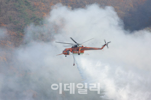 이 사진은 기사와 관련 없음 (사진=국제산림과학원)