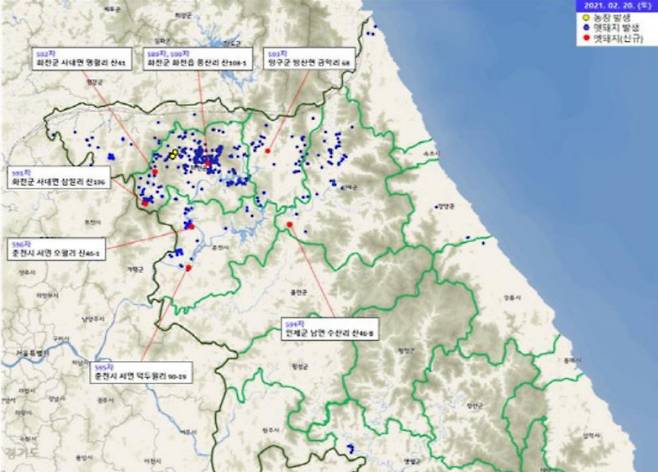 아프리카돼지열병(ASF) 발생현황 지도. 강원도 제공