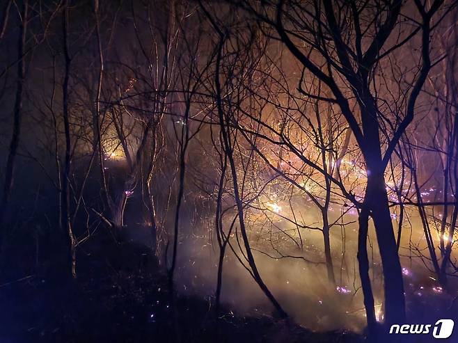 강원 양양군 양양읍 사천리 산불(동해안산불방지센터 제공)© 뉴스1