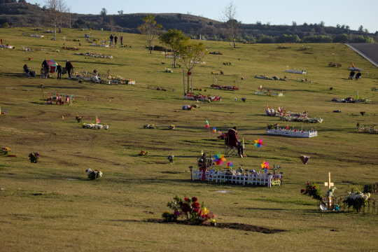 지난 26일(현지시간) 미국 캘리포니아주 위티어에 있는 북미 최대 공동묘지 로즈힐 메모리얼 파크를 찾은 한 조문객이 새로 조성된 묘역에서 쉬고 있다.    [위티어=로이터 연합뉴스]