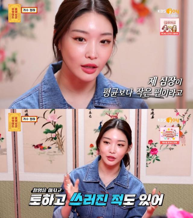 '무엇이든 물어보살' 청하가 출연해 고민을 털어놨다. KBS Joy 방송 캡처