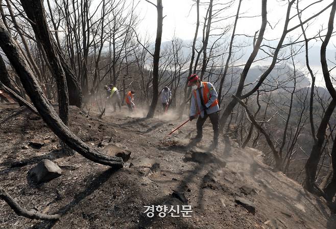 경북 안동시 임동면에서 의용소방대원들이 산을 타며 잔불을 정리하고 있다.  /강윤중 기자