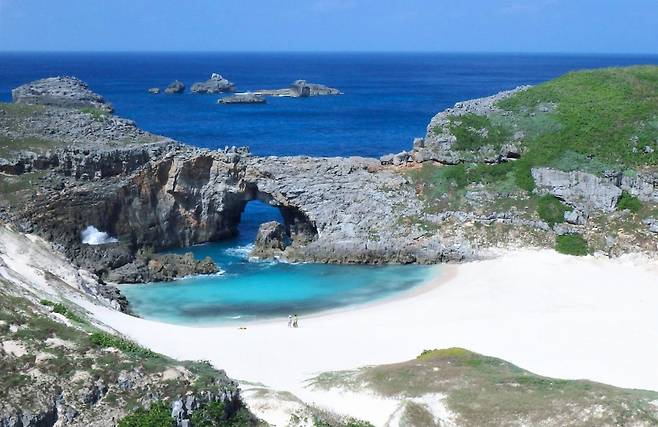 동양의 갈라파코스 도쿄도 오가사와라섬