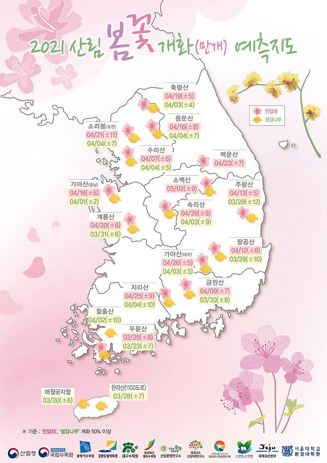 올해 봄꽃 개화 예측 지도.