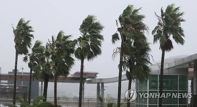 강풍 몰아치는 제주공항 [연합뉴스 자료사진]