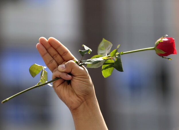1일(현지시각) 미얀아 양곤에서 한 시민이 전날 숨진 교사를 추모하는 의미에서 장미꽃을 손에 쥔채 세 손가락 경례를 하고 있다.양곤/EPA 연합뉴스
