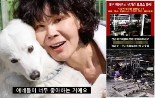 이용녀의 유기견 보호소가 화재로 불탔다. 사진|유튜브 `근황올림픽`, 동물보호단체 `행강` SNS