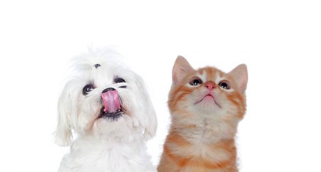 (사진=이미지투데이)