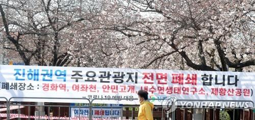 2020년 진해 벚꽃 명소 폐쇄 [연합뉴스 자료사진]