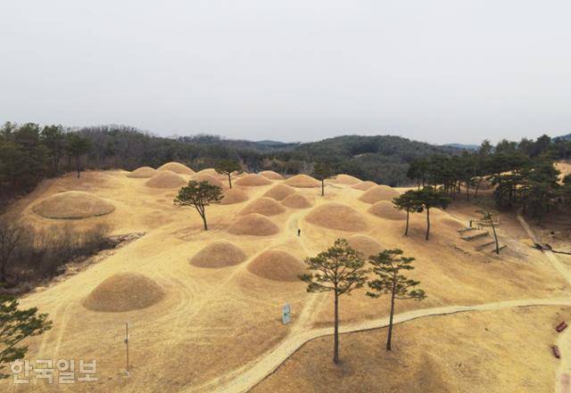 합천박물관 뒤편의 옥전고분군. 가야 다라국 지배층의 무덤으로 추정하고 있다.