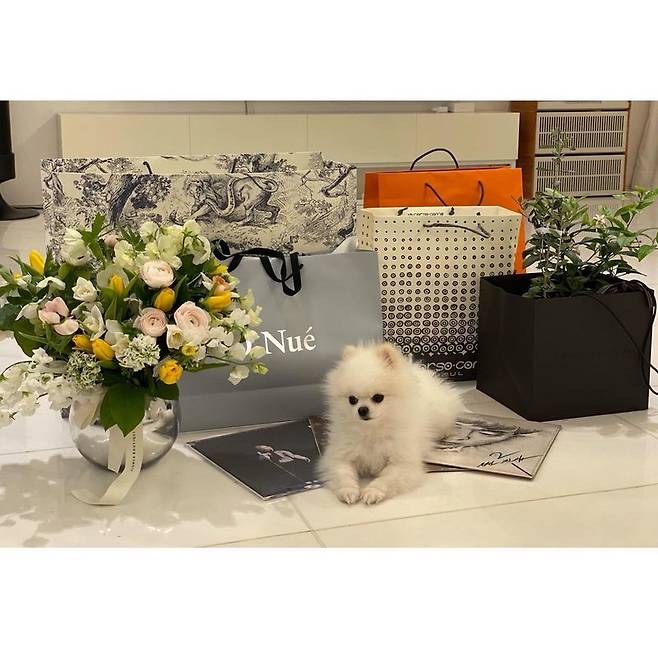 Actor Sung-yuri from Group Finkle expressed his gratitude for his birthday.Sung-yuri left on his instagram  on March 3, Thank you so much for celebrating my birthday in each way of my loving family and acquaintances, thank you fans who always stay with me.In addition, I posted several photos taken for my birthday.The photo shows various gifts received from fans and acquaintances, and Sung-yuri, who poses in front of the cake, posing in front of the cake.The video, released together, shows a surprise party situation that the managers and staff seem to have prepared for surprise. Sung-yuri smiled happily, unable to hide her surprise.Another acquaintance even sent a congratulatory message to Lanser.Meanwhile, Sung Yu-ri was born on March 3, 1981. In 2017, she married Ahn Sung-hyun, a professional golfer.