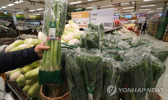 지난달 주요 농축산물 가격 일제히 강세 (서울=연합뉴스) 류효림 기자 =  서울 시내 대형마트에 채소 판매대 모습. 2021.3.4 ryousanta@yna.co.kr