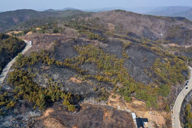 지난 2월 21일 발생한 산불로 경북 안동시 임동면 일대의 숲이 검게 변해 있다. 이번 산불은 낮기온이 25도에 이르는 등 봄을 연상시키는 따뜻하고 건조한 날씨 영향이 컸다.   연합뉴스