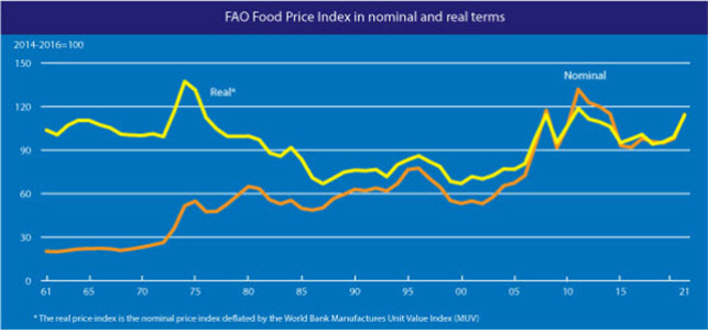 세계식량가격지수 추이. (이미지=농림축산식품부)