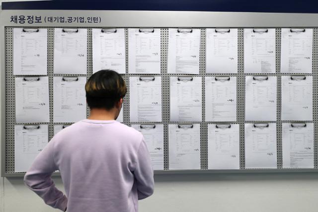서울의 한 대학교 내 취업광장에서 한 학생이 채용정보 게시판을 보고 있다. 뉴시스