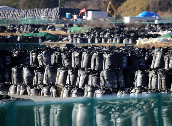 일본 후쿠시마 원전 사고 10주년이 다가온 가운데 지난 3일 오후 일본 후쿠시마현 도미오카마치의 귀환곤란지역 임시보관소에 주변 오염 제거 작업에서 수거한 토양과 풀을 담은 검은 자루가 가득 쌓여 있다.후쿠시마 연합뉴스
