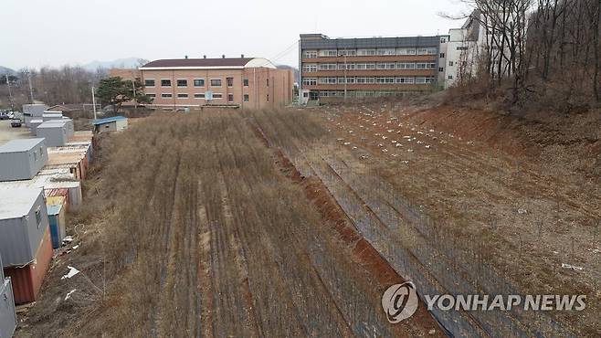 야산과 학교 사이 자투리땅도 투기에 이용 (시흥=연합뉴스) 김도훈 기자 = LH 직원들의 광명 시흥 신도시 땅 투기 의혹이 제기된 뒤 관련 의혹을 규명하려는 정부의 움직임이 속도를 내고 있다.      정부는 국무총리실 국무 1차장을 단장으로 하는 관계기관 합동 조사단을 구성해 본격적인 조사에 나선다. 다음 주까지 국토부와 LH 전 직원에 대한 거래내역 전수조사를 마친 뒤 지자체 유관부서 업무 담당 공무원, 지자체 소속 개발공사 임직원 전체에 대해서도 조사에 나설 것이라고 밝혔다.       4일 LH 직원 투기 의혹이 제기된 경기도 시흥시 무지내동 야산 인근 자투리땅에 묘목들이 심겨 있다. 2021.3.4 superdoo82@yna.co.kr