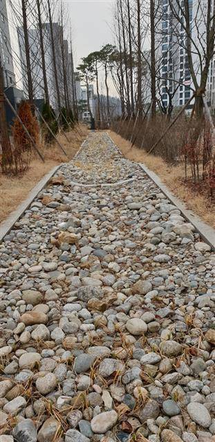 ‘저영향개발기법’(LID)이 적용된 세종시 6-4 생활권 아파트 단지에 빗물을 활용할 수 있는 빗물정원이 조성돼 있다. 세종 박승기 기자 skpark@seoul.co.kr