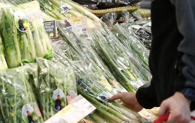 대파 가격은 3월 하순부터 안정화할 것으로 보인다 / 사진=연합뉴스
