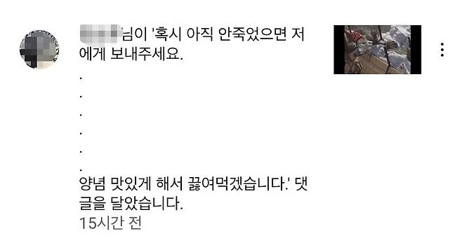 반려견 물림사고 조롱하는 SNS 댓글 [서모씨 제공. 재판매 및 DB 금지]