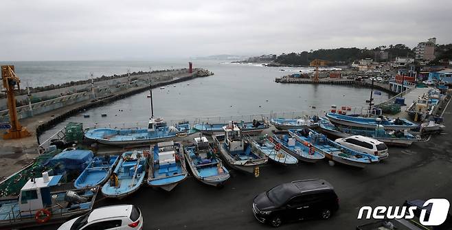 제10호 태풍 '하이선(HAISHEN)'이 북상 중인 지난해 9월6일 오후 울산 울주군 서생면 평동항에서 소형 어선들이 육지로 피항해 있다. (기사와 사진은 관련없음) 2020.9.6/뉴스1 © News1 윤일지 기자