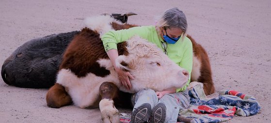 무릎에 기대 잠든 소를 안고 있는 여성. [인스타그램 캡처]
