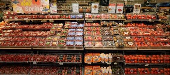 이마트는 지난해 3월 새로운 토마토 매장인 ‘토마토 뮤지엄’을 열어 허니토마토, 애플토마토 등 이색 토마토를 포함해 무려 12종에 달하는 토마토 품종을 선보였다. 사진 이마트