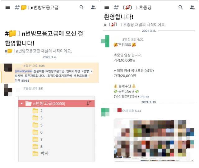 n번방 모음 자료를 판매한다는 글을 올려 놓은 음성 채팅 메신저 ‘디스코드’의 한 채널 게시판. 채널 운영자는 “n번방+박사방 모은 자료입니다. 희귀자료이기 때문에 추천해드려요”라고 강조하기도 했다. 디스코드 캡처