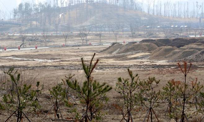 지난 10일 오전 청주 넥스트폴리스 산업단지 예정지에 나무들이 빽빽하게 심겨 있다. 연합뉴스