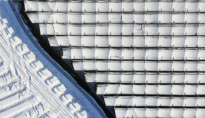 눈 내린 금산군의 인삼밭 [사진/성연재 기자]