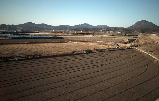 대표적인 인삼 경작지 포평뜰 [사진/성연재 기자]