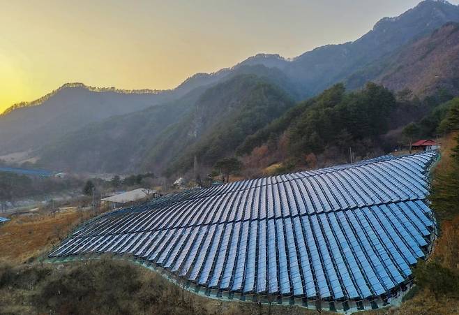 풍기 인근 봉화군의 인삼밭 [사진/성연재 기자]