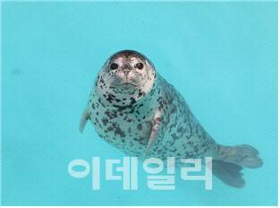 (사진=서울대공원 제공)